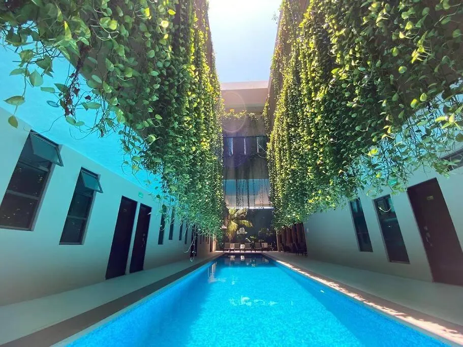 Apartment Beauty Suite W Gym Sauna Pool Close 5Th Ave &Beach Playa del Carmen Mexico