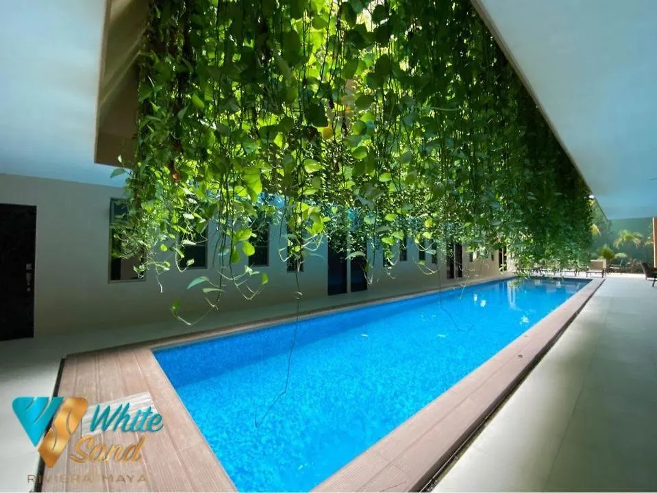 Beauty Suite W Gym Sauna Pool Close 5Th Ave &Beach Playa del Carmen 0*,  Mexico