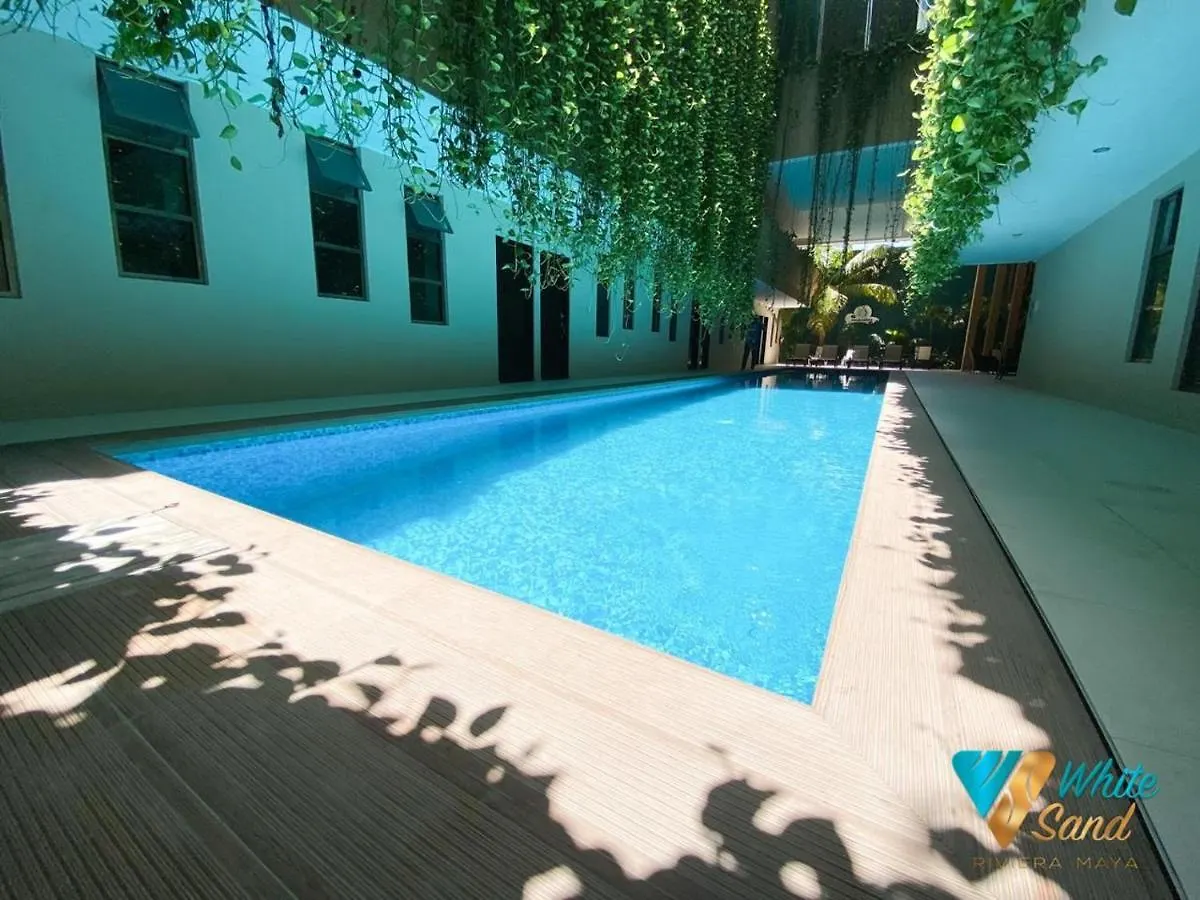 Beauty Suite W Gym Sauna Pool Close 5Th Ave &Beach Playa del Carmen Mexico